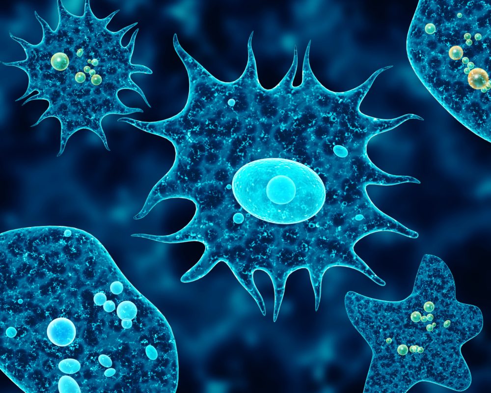 Amoebas on abstract blue background. 3d render